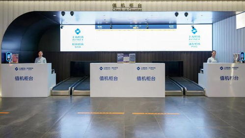 重磅！8家航空公司入駐蘇州，航線航班成全國之最，商務(wù)咨詢迎來新機(jī)遇