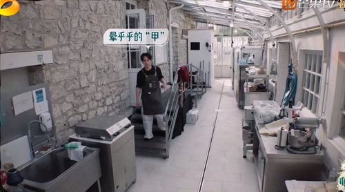 《中餐廳8》爭議升級 林述巍被鎖冷庫，導(dǎo)演做法引眾怒